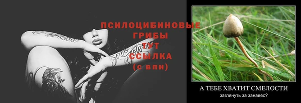 ПСИЛОЦИБИНОВЫЕ ГРИБЫ Абдулино