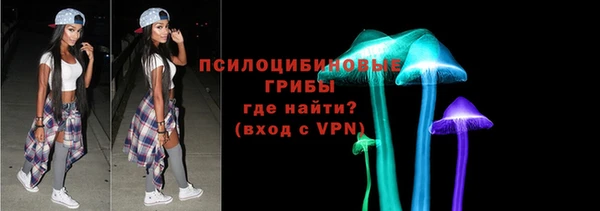 ПСИЛОЦИБИНОВЫЕ ГРИБЫ Абдулино