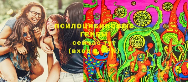 МДПВ Абаза