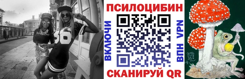 Галлюциногенные грибы Psilocybine cubensis цена Терек