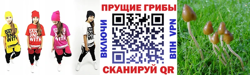 Галлюциногенные грибы прущие грибы Терек